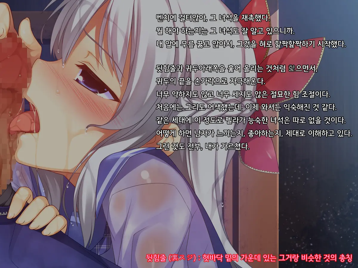 Onii-Chan No Hanbun Wa Yokubou De Dekiteimasu 2